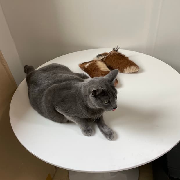 NnnnNnnn님 개인결제창