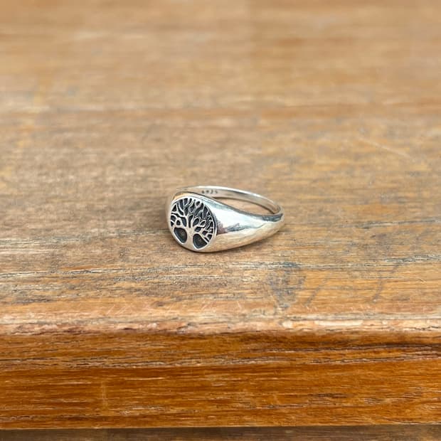silver 925 ring