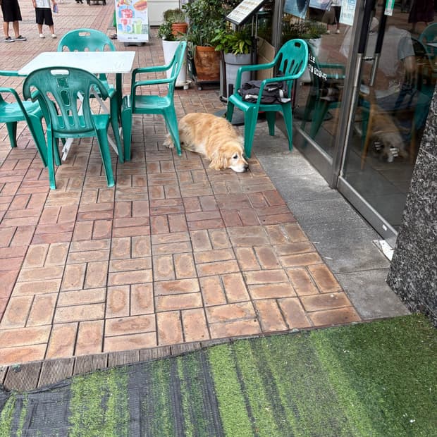 결제칸