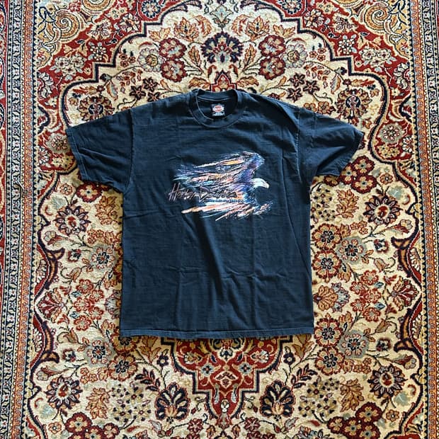 90s Harley davidson Ride with the Wind