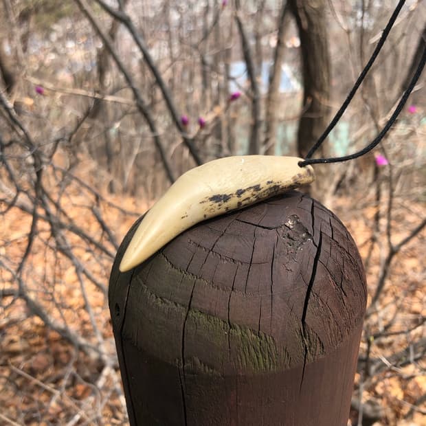 아무것도 아닌 말에 2 🥿 