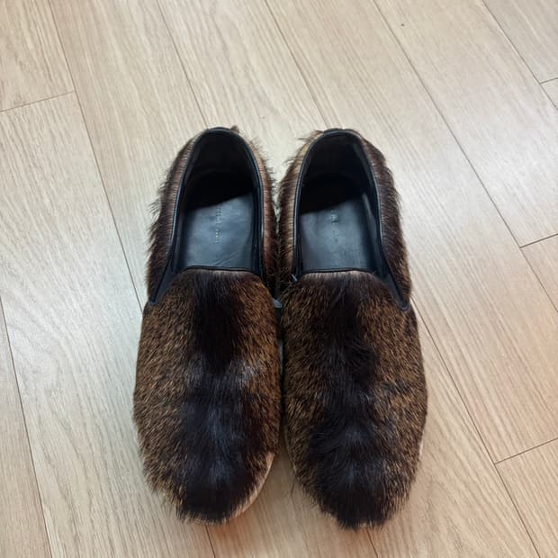 올드 셀린 송치 