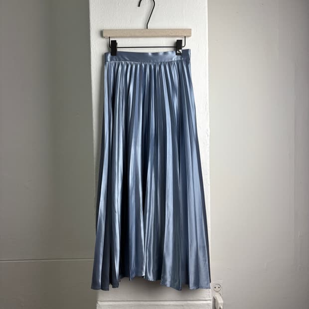 Apuweiser-riche Pleats Skirt