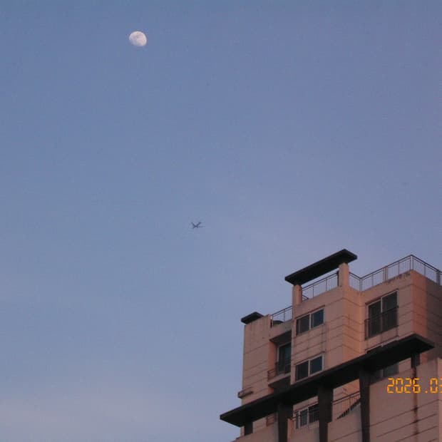 작례 O) Kyocera finecam sl300r 교세라 빈티지 디카