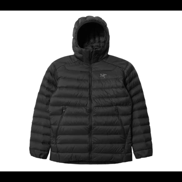 아크테릭스 세륨 후디 L 정품 새상품