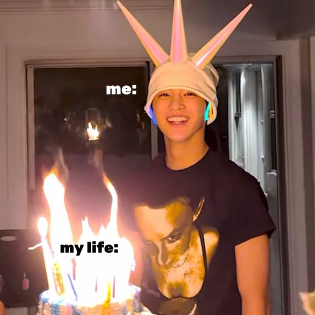 🪽