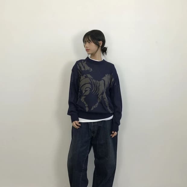 Raika Zebra Graphic Knit Sweater