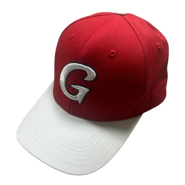 ✨ (바배) 롯데자이언츠 모자