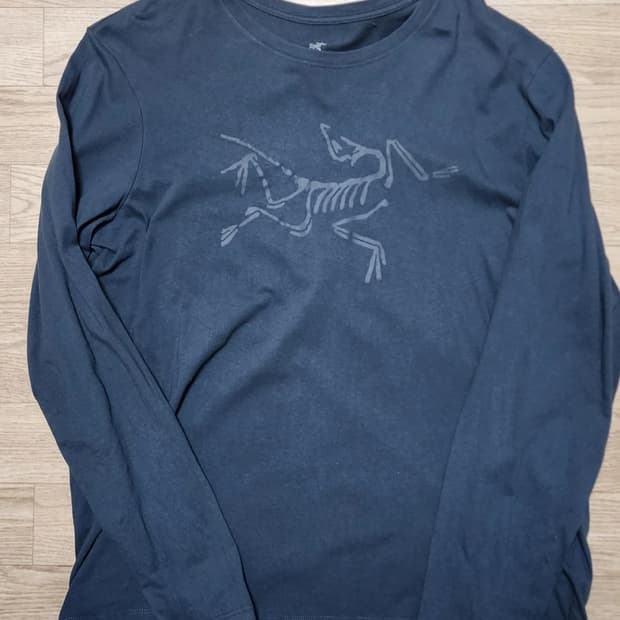 아크테릭스 남성 긴팔 티셔츠 L/G

