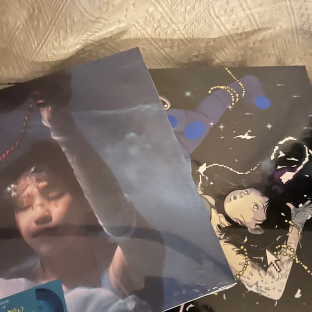 한로로 이상비행 lp + 김뜻돌 꿈에서 걸려온 전화 lp