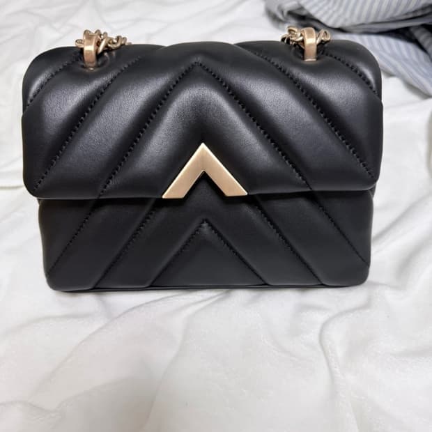 벨류엣 안느 백