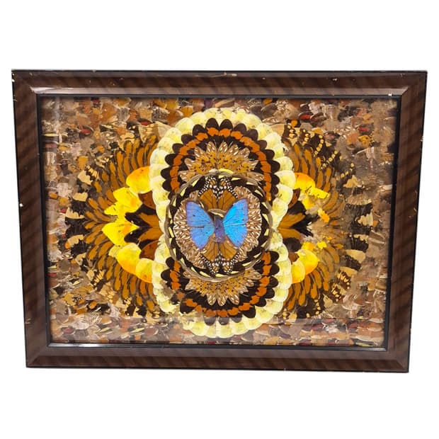 60s 모르포 나비 표본&날개 엔틱 대형 액자