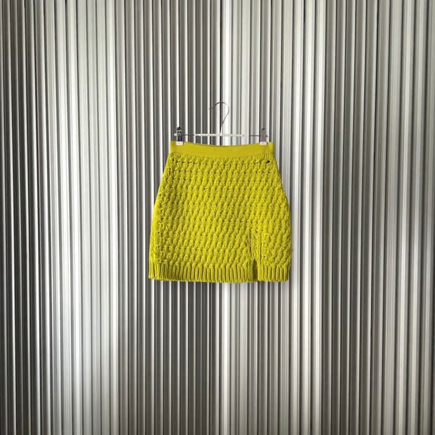 Bottega Veneta skirt