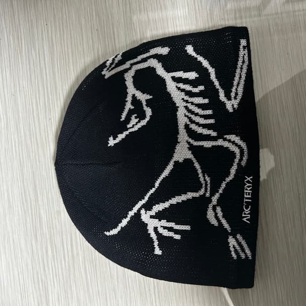 아크테릭스 버드 헤드 토크 오르카 (1회착)