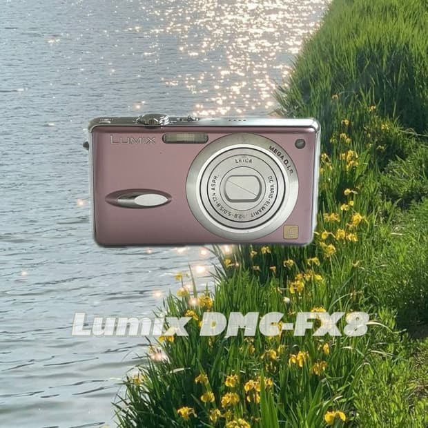 Panasonic Lumix DMC-FX8