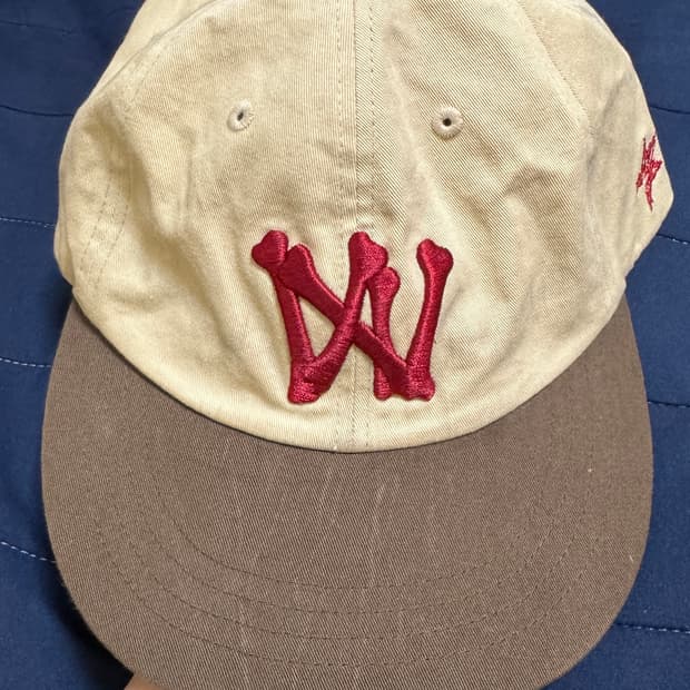 아오이로 6패널 캡 브라운 베이지