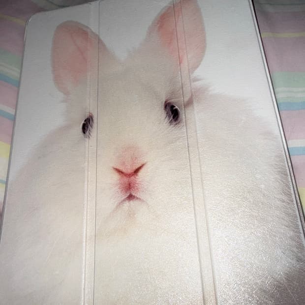 (최상급)아이패드 프로4세대 11 + 토끼 케이스 + 애플펜슬2세대 + 