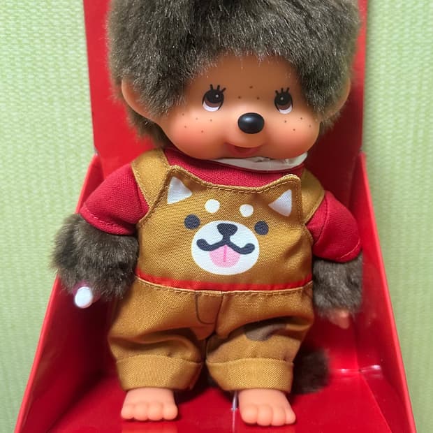 유럽판 시바견 몬치치