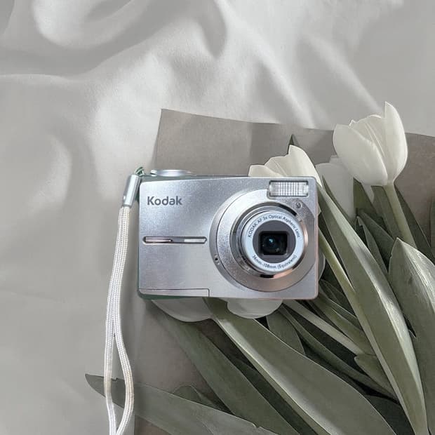 카리나‘s최애) 코닥 이지쉐어 C713 디카 빈티지 캠코더 캐논 니콘