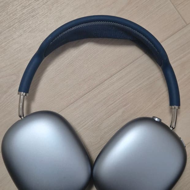 에어팟맥스 스카이블루