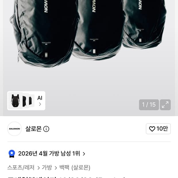 살로몬 트레일블레이저 백팩 10