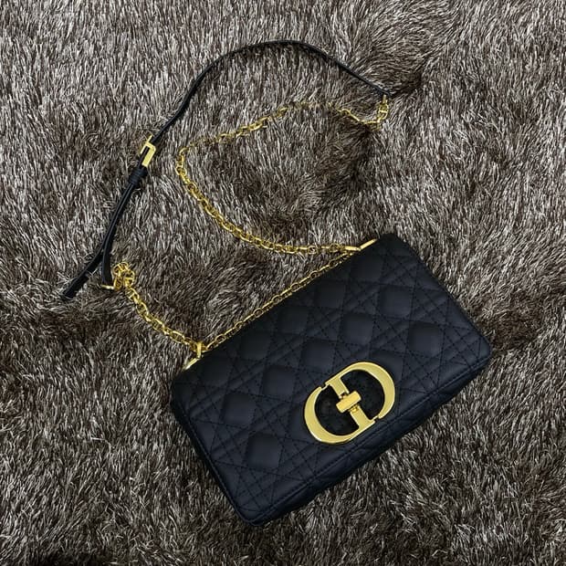 디올 Dior 카로백