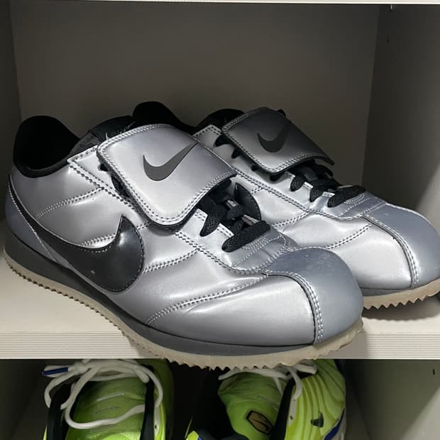 나이키 코르테즈 se 메탈릭 270