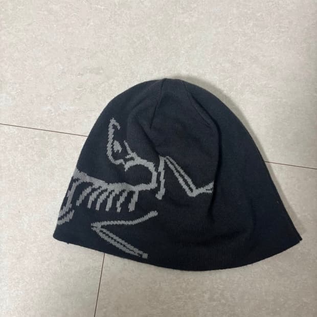 아크테릭스 비니