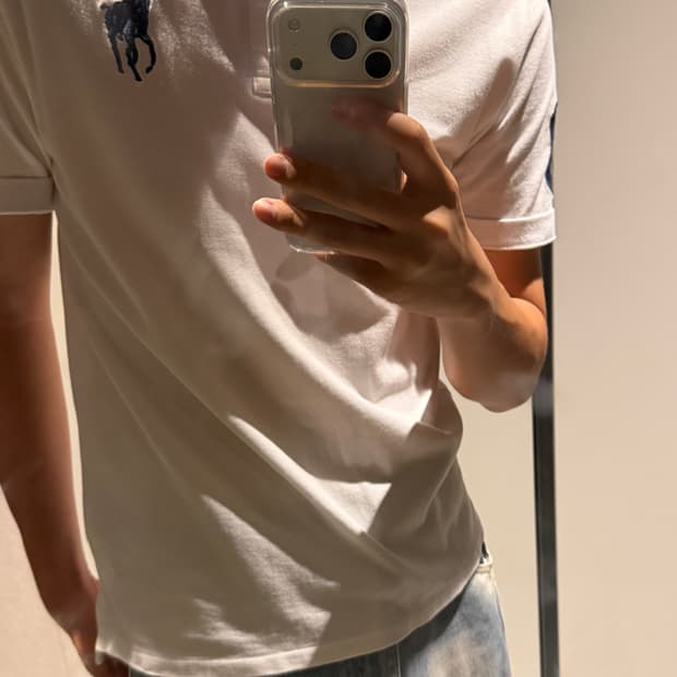 폴로 빅포니