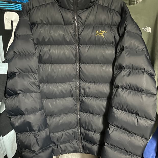 아크테릭스 토륨 후디 24K