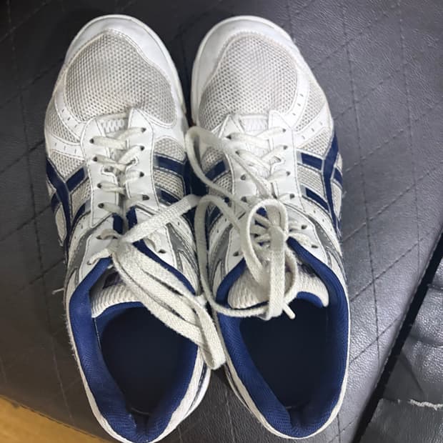 아식스 로테리브레 255