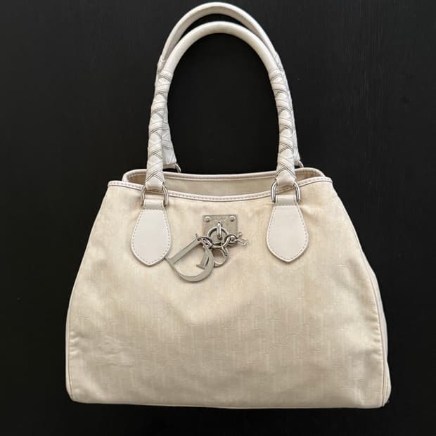 DIOR 디올 오블리크 디올리시모 토트백