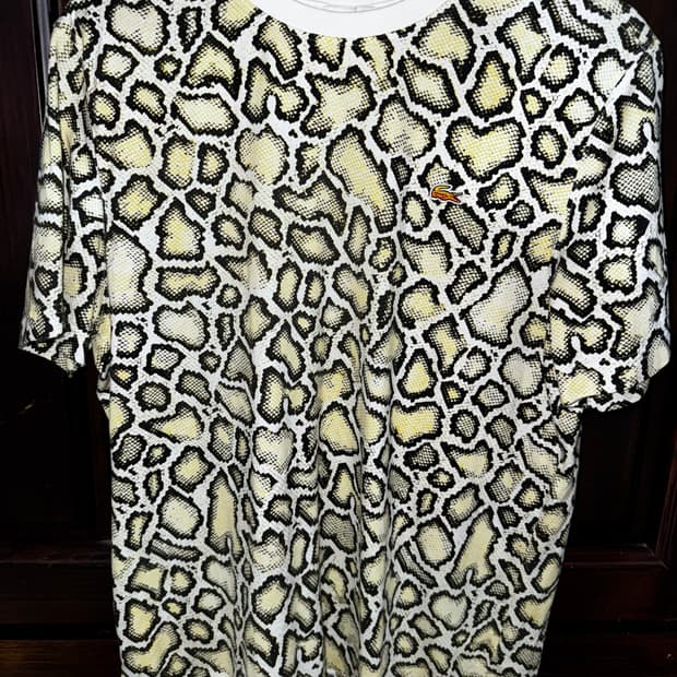 라코스테 반팔티 새거 m