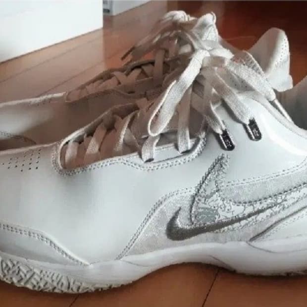 나이키 르브론 NXXT 넥스트젠 AMPD 275 FJ1567-102