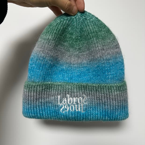 라브로스 비니 급처