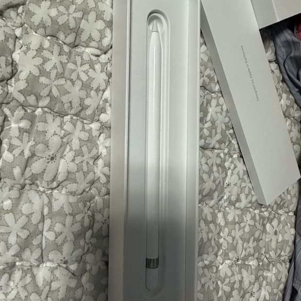 애플펜슬 1세대