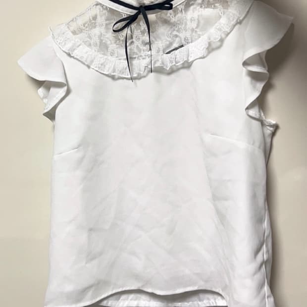 evelyn 에블린 레이스 블라우스 양산형 스나계