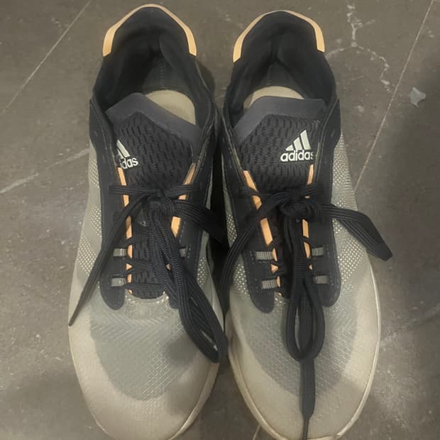Adidas 운동화 245