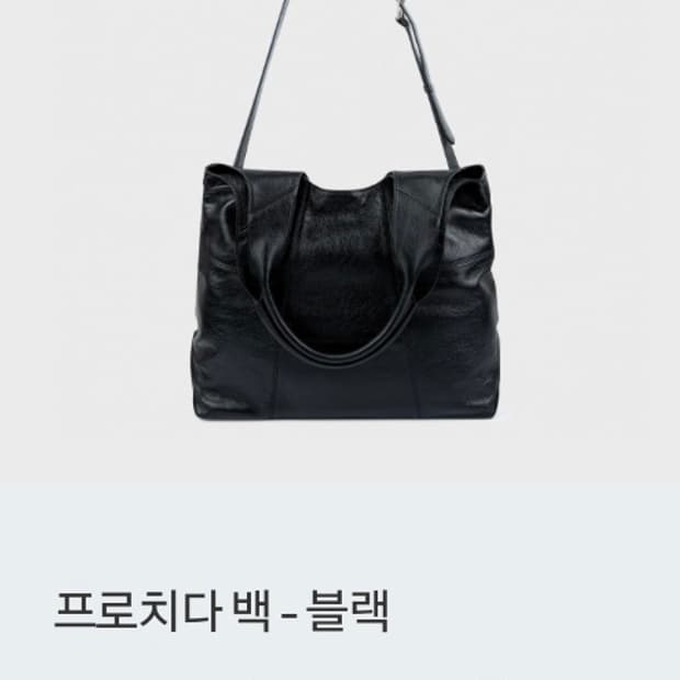 벨리에 프로치다 백 블랙