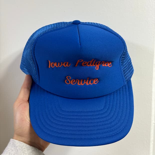 vintage mesh cap (blue)