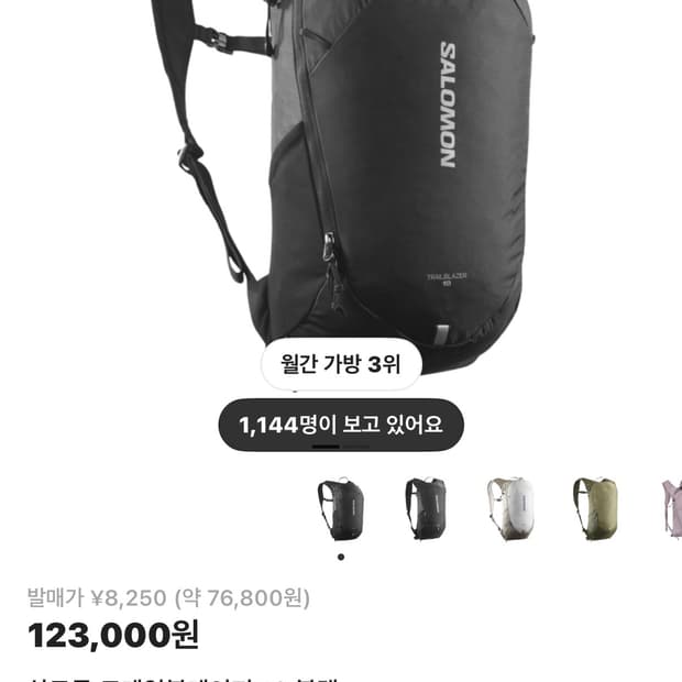 살로몬 트레일블레이저 10 백팩