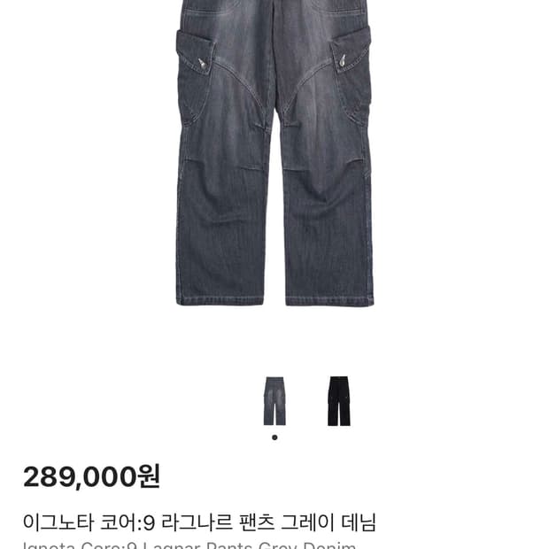 이그노타 코어9 라그나르 팬츠 팝니다.