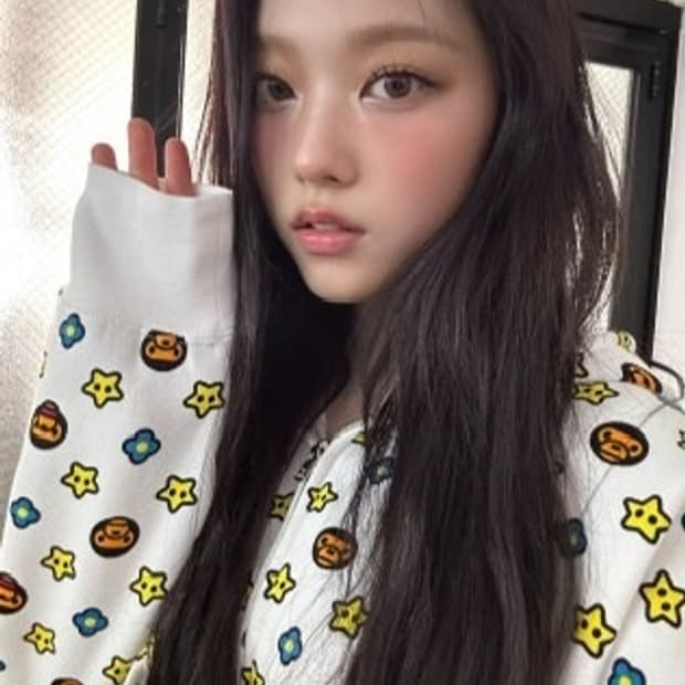 뉴진스 해린 착용) 베이프 후드집업 2xl