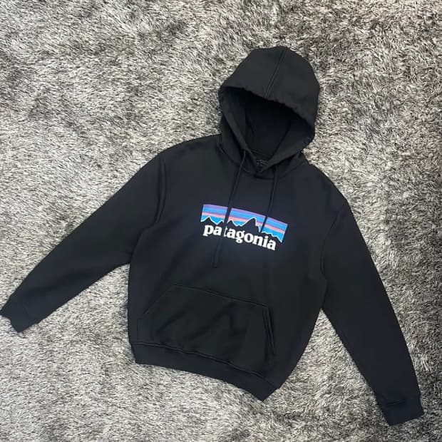 파타고니아 남성 레귤러핏 후드티 (M)