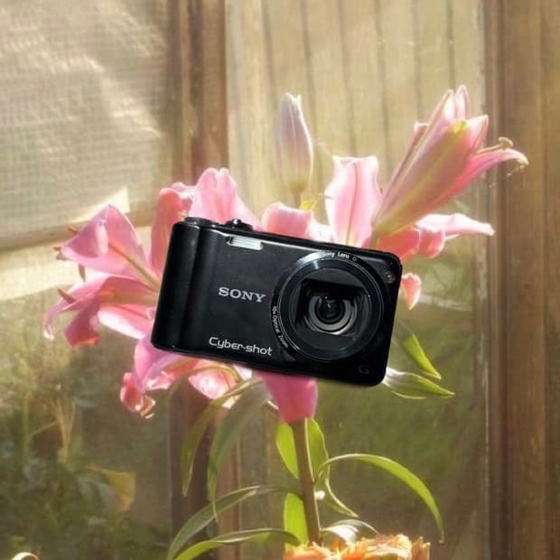 작례⭕️ SONY DSC-HX5 디카