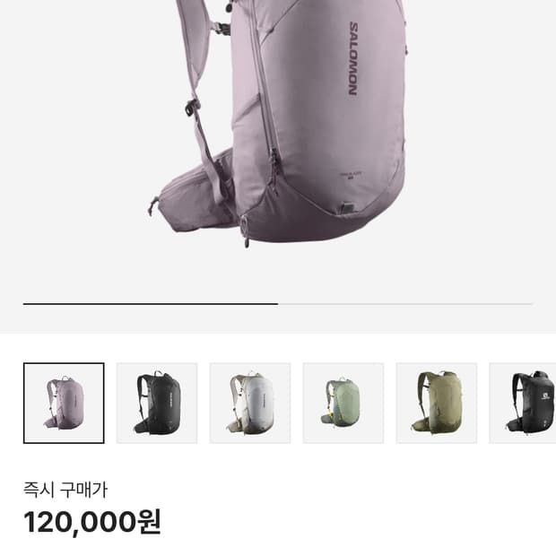 살로몬 핑크 백팩