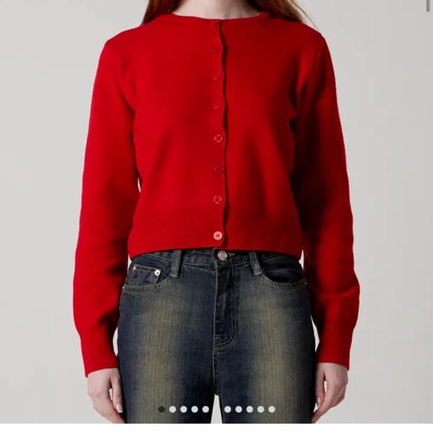 헤인트 레드 가디건
