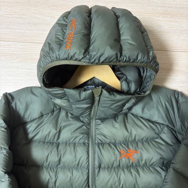 아크테릭스 세륨 L 포리지