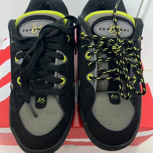 이에스 스케이트 보드화 250