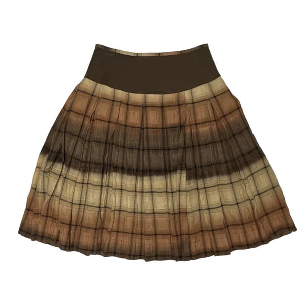 Check autumn skirt